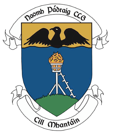 St. Patrick's GAA, Wicklow